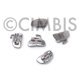Tubo BigBase1º molar nº 26 (UL6) MBT 0,018 (5 piezas)